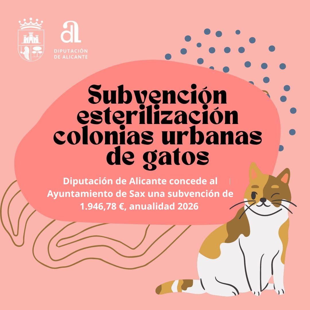 Subvención para la esterilización de colonias urbanas de gatos concedida al Ayuntamiento de Sax por la Diputación de Alicante